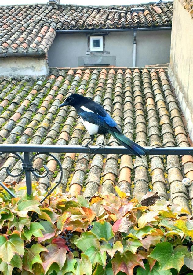 Maison De Maitre A Bram # Jacuzzi Εξωτερικό φωτογραφία